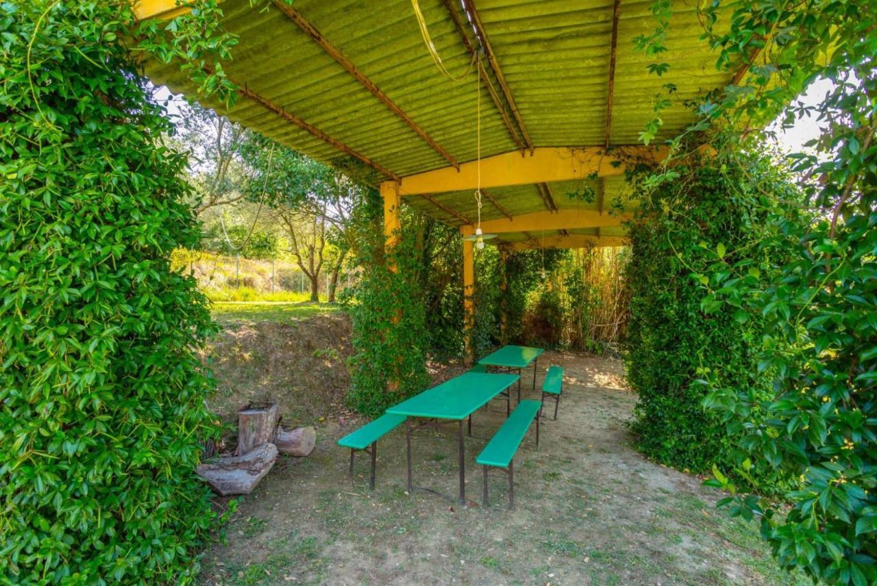 Villa Casale Federica أريتسو المظهر الخارجي الصورة